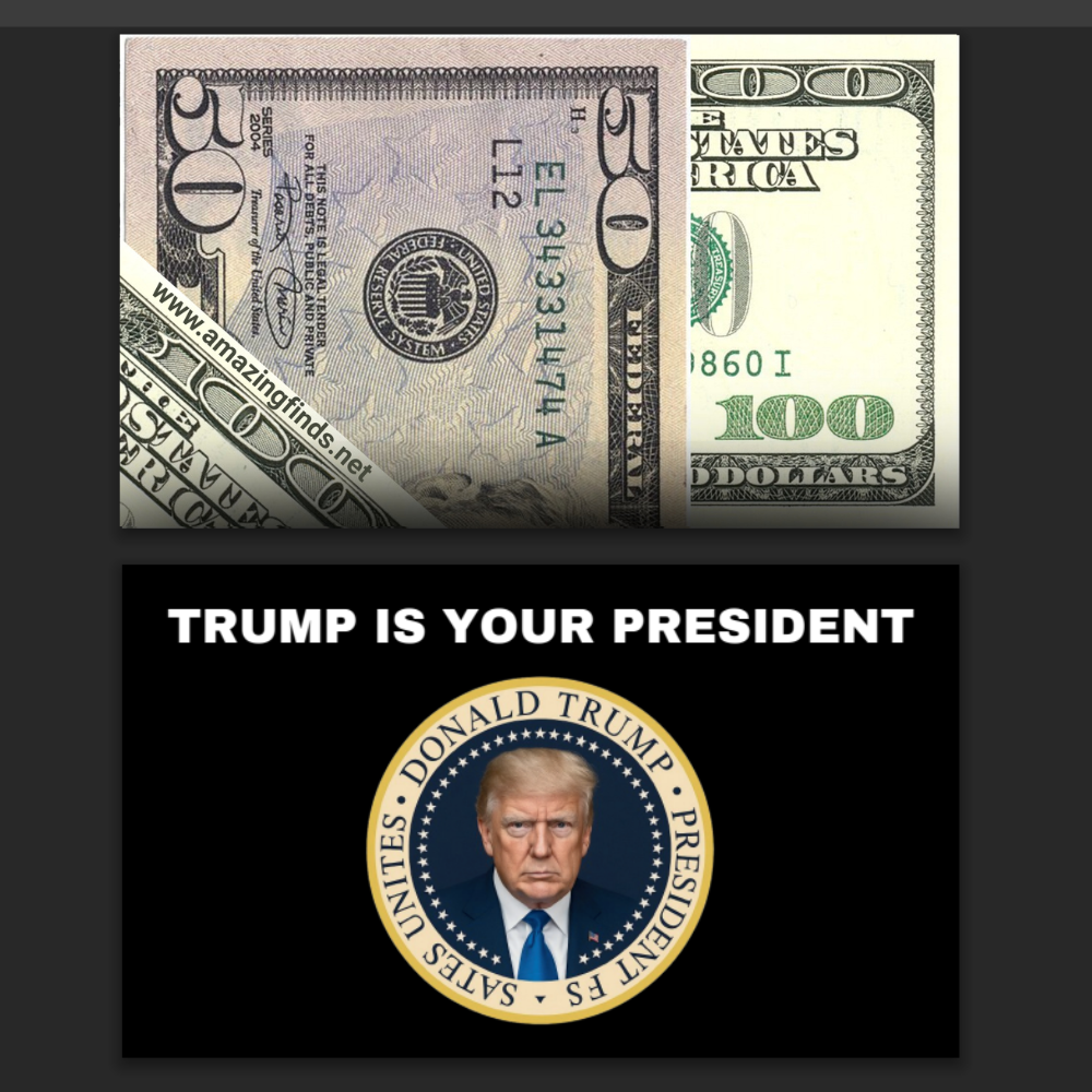 END the WOKENESS Donald Trump Is Your President Prank Bills - 5,000 Cards!
